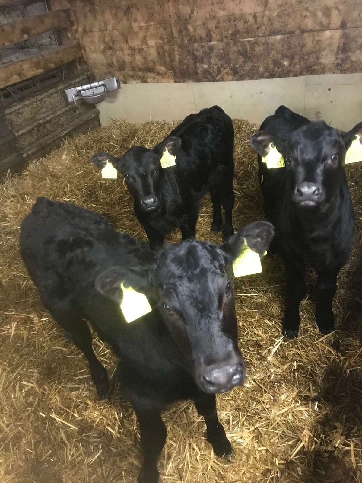 a89dc753 49fa 4b28 9001 ee94e8b723de