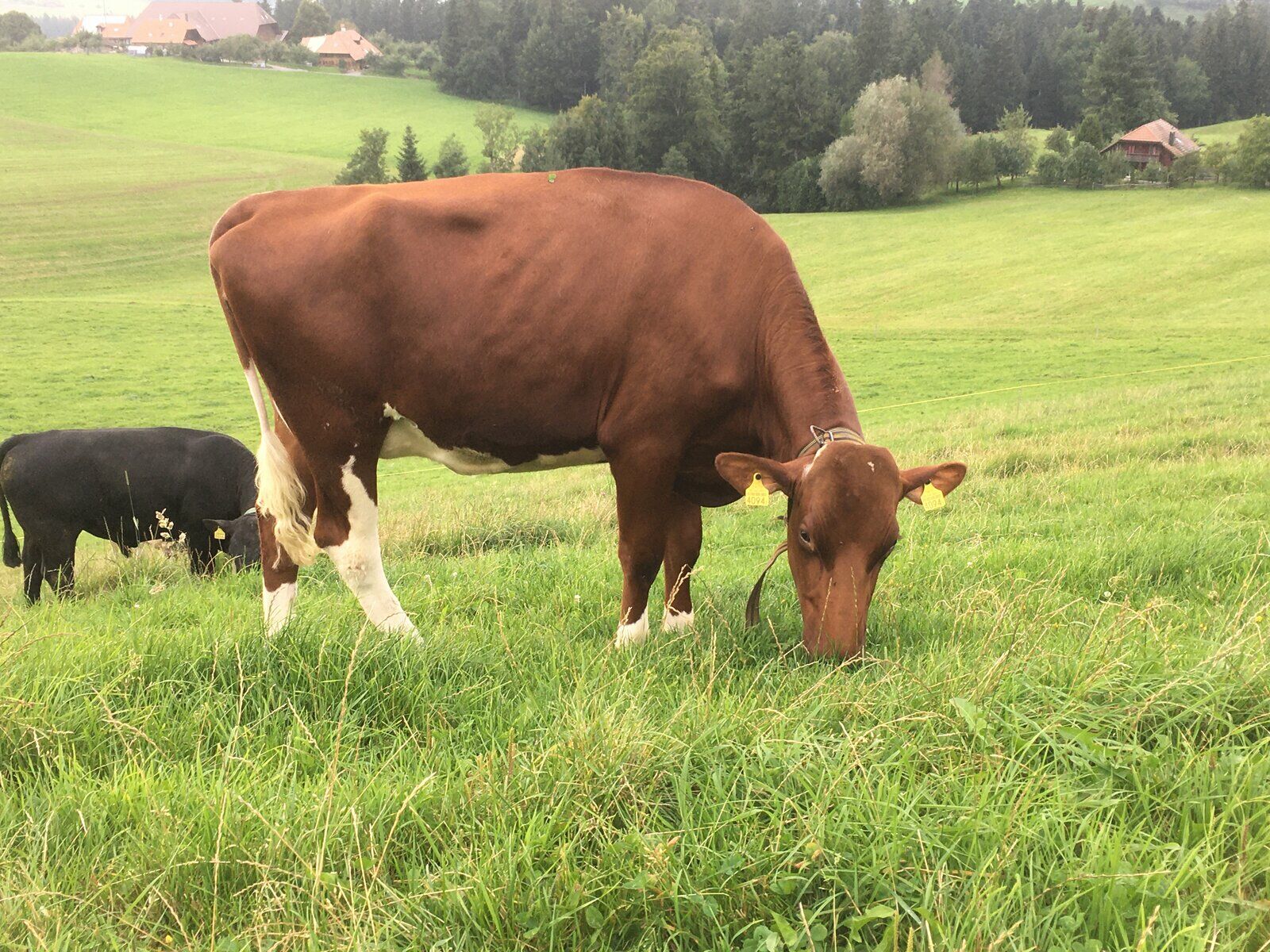 0c1d2cff 8581 4218 b936 815b89780dcf