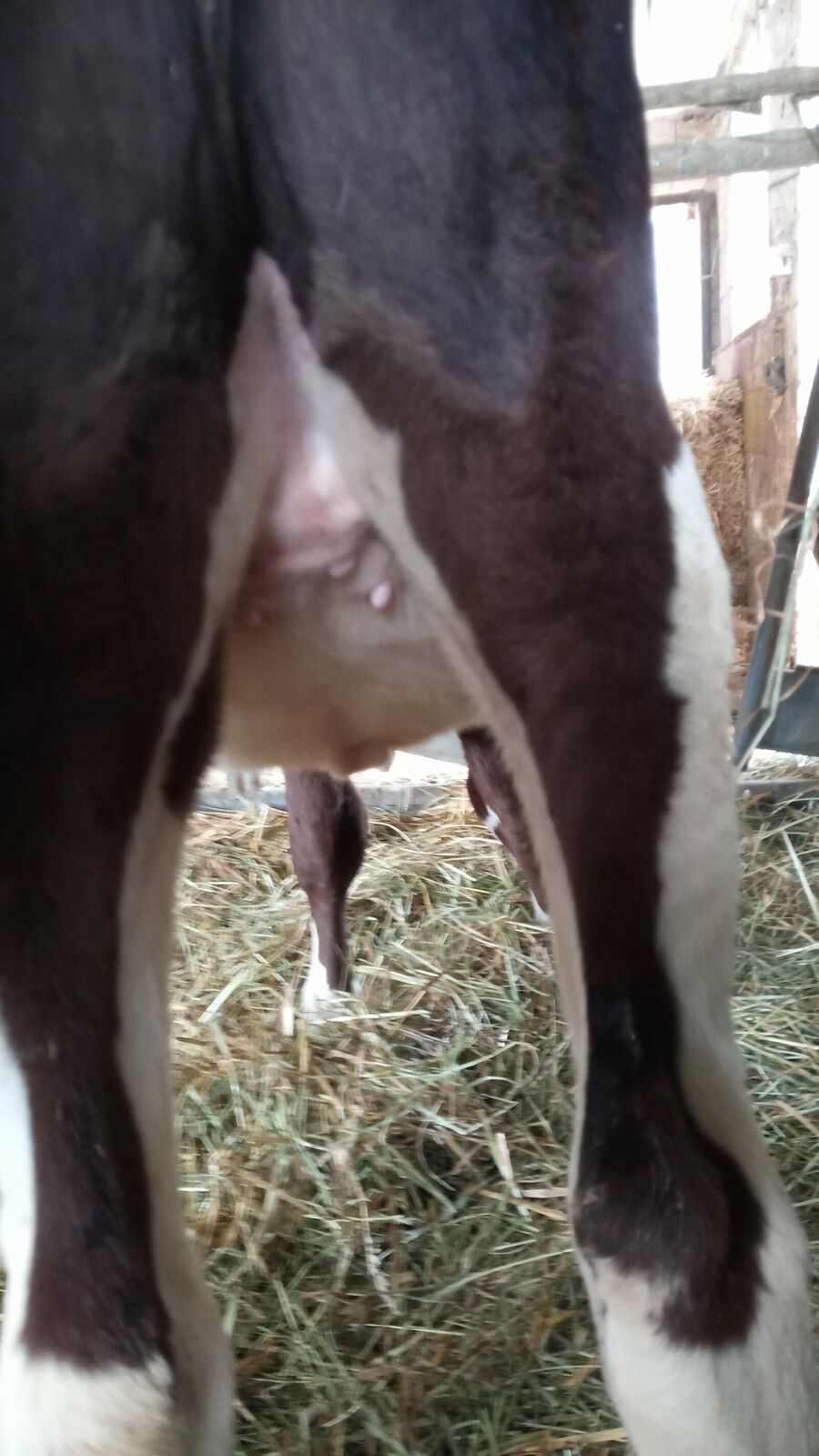 img 20230807 114916 817