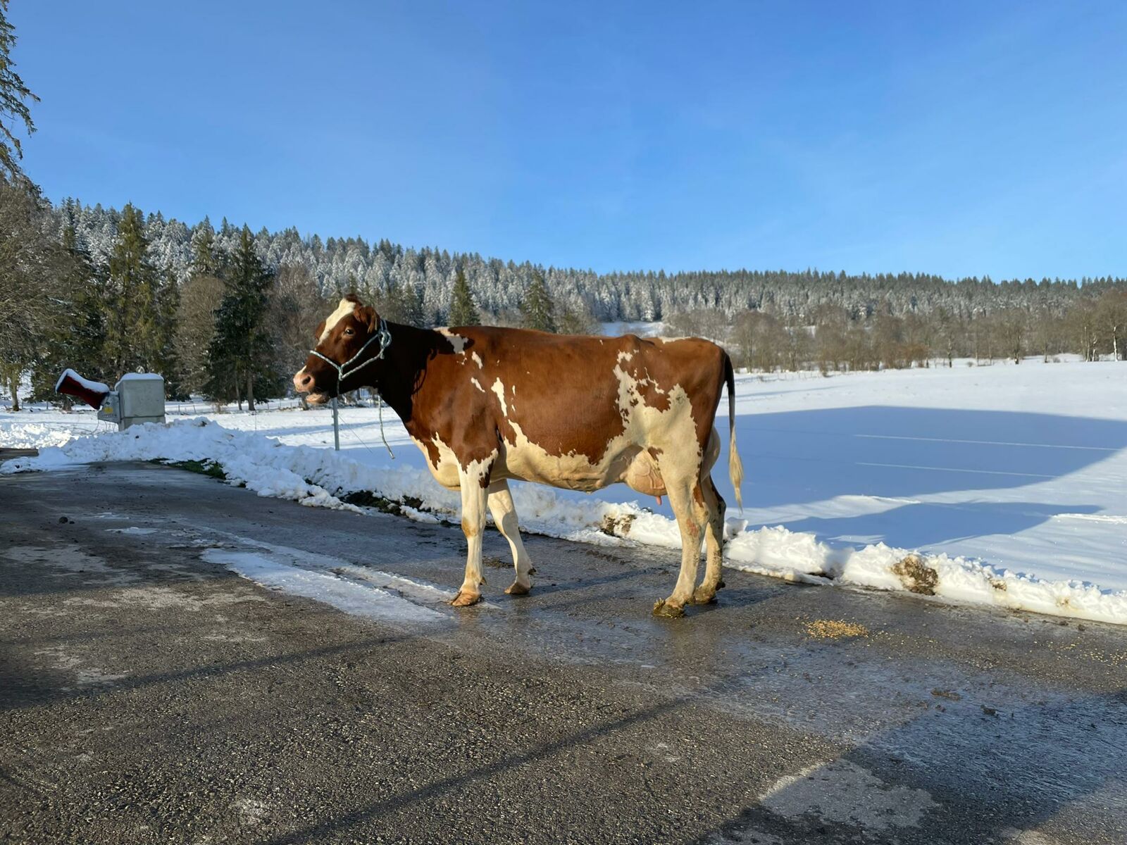 e23ea200 7bda 4df5 a36e da70feade582